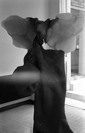 La nature moderne, Palais de Glace, Paryż 1967 