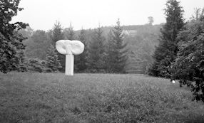 Sympozjum rzeźbiarzy,  Vranicka Banja 1966 