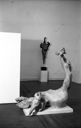 Petiolaris, 1959 
