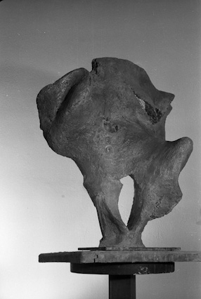 Gniazdo I, 1960 