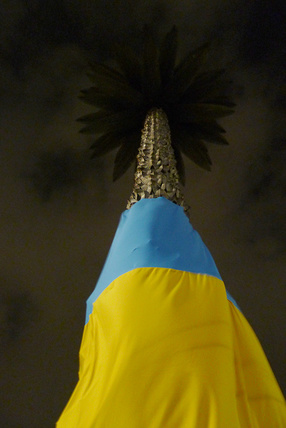 Flaga Ukrainy na Palmie, 2014 