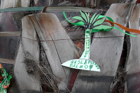 Tu Bishvat pod palmą, 2012. 