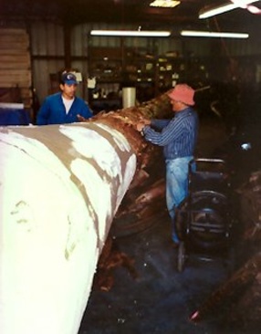 Produkcja palmy, San Diego, 2002. 