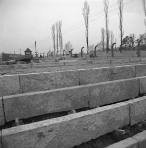 The international monument to the victims of fascism, 1967 