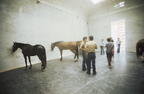 37th Venice Biennale, 1976 