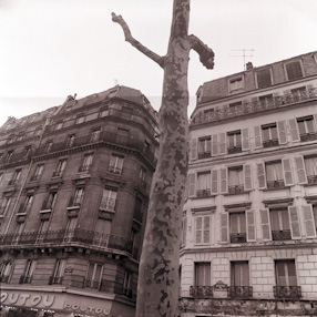 Paryż, 1971 