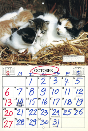 Kalendarz Country Cats 