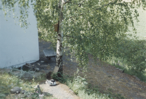 Zdjęcie ogrodu Piotra Zamecznika w Lommedalen 