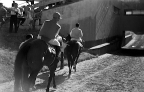 Horse Racing, Warszawa 1957 