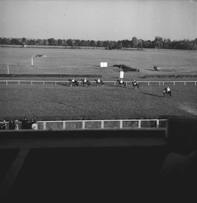 Horse Racing, Warszawa 1958 