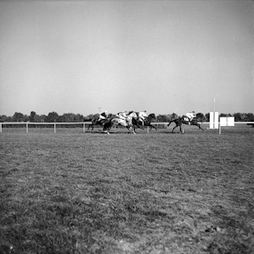 Horse Racing, Warszawa 1958 
