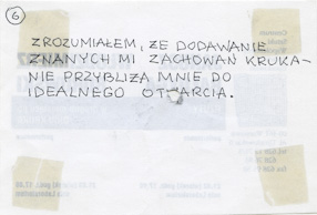 W drugim miesiącu po dniu kruka, CSW Warszawa, 1995 