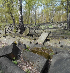 Cmentarz żydowski na Bródnie Spacer i wykład. Obowiązują zapisy 