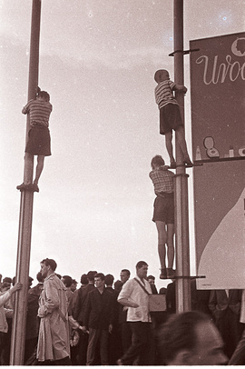 Fotografia z Archiwum Eustachego Kossakowskiego przedstawiająca grupę dzieci na stadionie wspinających się po słupach oświetleniowtch