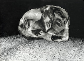 Grand Tumeur I [Wielki Nowotwór I], 1969 