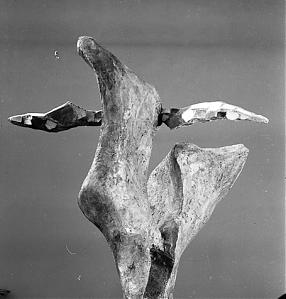 Leg, 1962 