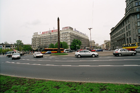 Wymiana liści, 2005. 