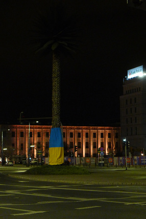 Palma z flagą Ukrainy, 2014. 