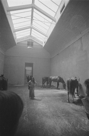 37th Venice Biennale, 1976 