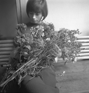Targi kwiatowe we Wrocławiu, 1966 
