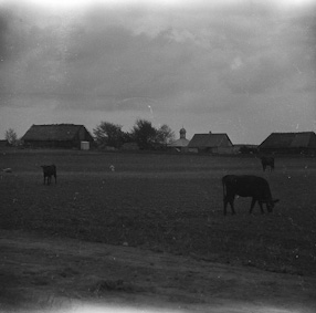 Wsie tatarskie na Podlasiu, 1963 
