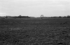 Plein-air in Dłużew, 1990 