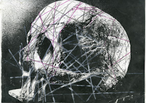 Piotr Śledziewski, study of skull transformations 