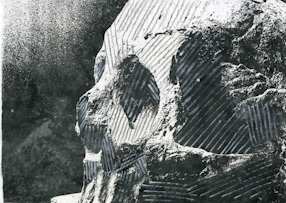 Piotr Śledziewski, study of skull transformations 