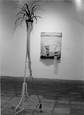 Floral Collection and Magic objects at CCA in Warsaw, 1992 