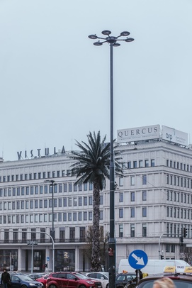 (zdjęcie ośnieżonej warszawskiej palmy na rondzie de Gaulle\'a)