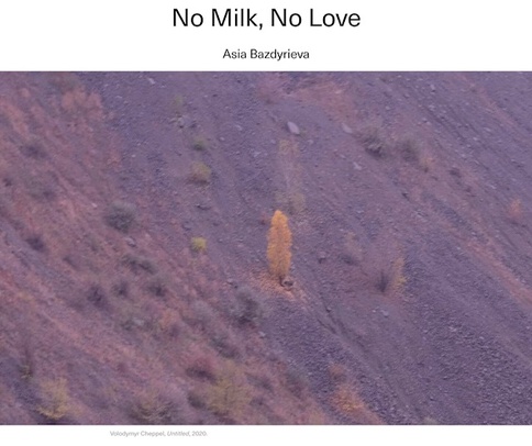 ‘No Milk, no Love’ − analysis of text by Asia Bazdyrieva