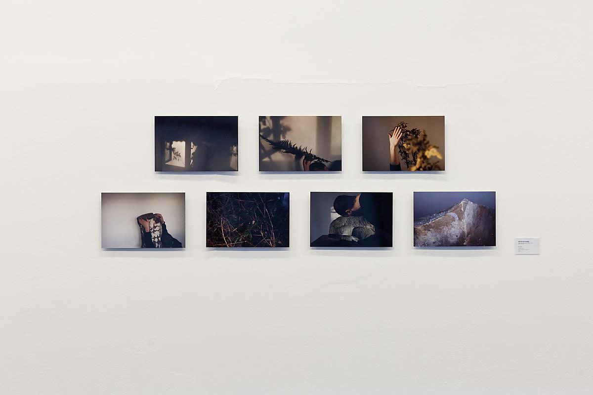 Nagroda Główna: Krzysztof Maniak, Bez tytułu, fotografia cyfrowa, siedem fotografii 40x26,7 cm, 2015, fot. Bartosz Stawiarski