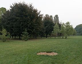Bródno Scultpure Park Summer 2014