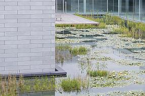 Water Court at the Pavilions, Glenstone Museum, photo by Iwan Baan